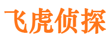 大新外遇调查取证